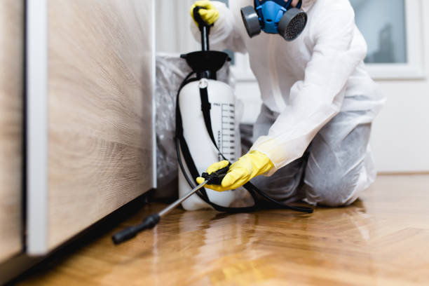 Best Rodent Control Near Me  in Sheboygan Falls, WI