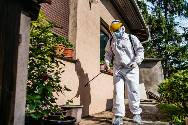 Best Affordable Pest Control Services  in Sheboygan Falls, WI