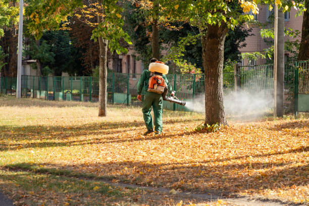Best Affordable Pest Control Services  in Sheboygan Falls, WI