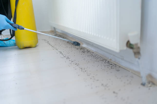 Best Pest Prevention Services  in Sheboygan Falls, WI