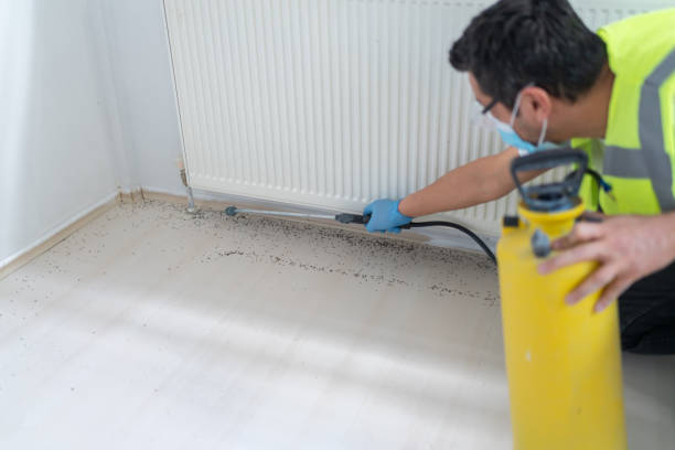 Best Best Pest Control Companies  in Sheboygan Falls, WI