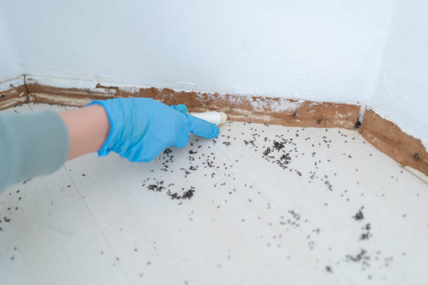 Best Pest Control Treatment  in Sheboygan Falls, WI