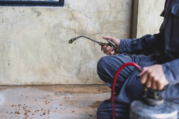 Best Best Pest Control Companies  in Sheboygan Falls, WI